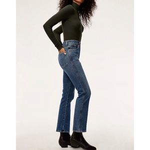 AGOLDE pinch waist straight leg jeans